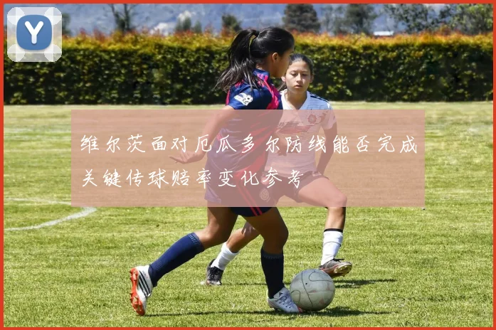 维尔茨面对厄瓜多尔防线能否完成关键传球赔率变化参考